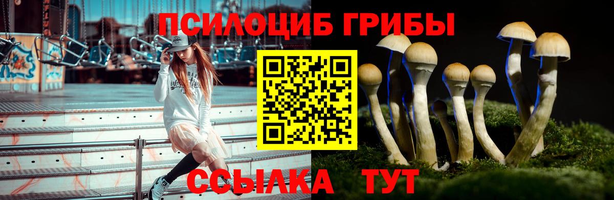 Галлюциногенные грибы Cubensis  Вход с VPN  Пугачёв 